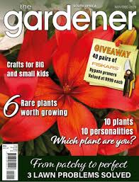 Image result for Bersama lucens