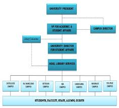 organizational structure of the rmtu library system