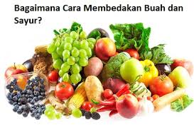 Konflik bisa dikatakan sebagai proses sosial dan interaksi sosial yang berkaitan antar individu dengan individu, individu dengan kelompok atau kelompok dengan kelompok. Pengertian Sayuran Dan Perbedaannya Dengan Buah Lengkap Dengan Contohnya Ala Urang