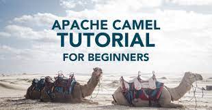 Dit kan makkelijk met internet bankieren of de mobiel bankieren app. Apache Camel Tutorial Tom Donohue