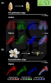 Plant cell and environment journal. Plant Cell Environment Home Facebook