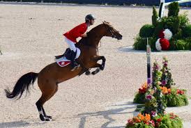 Check spelling or type a new query. Steve Guerdat Est Toujours No 1 Martin Fuchs No 2 Quel Duo Le Cavalier Romand