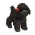 Black/Blue/Silver - WindSwept Poodles