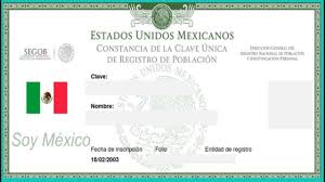En caso de que necesites obtener tu curp gratuito, por favor, rellena los siguientes campos y el sistema se encargará de realizarlo por ti. Como Descargar Tu Curp De 2 Formas Youtube