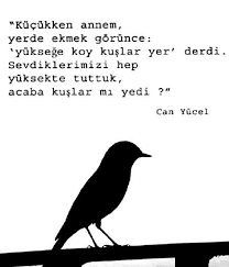 Filiz Adli Kullanicinin Ask Panosundaki Pin Ozlu Sozler Gercek Alintilar Ilham Verici Sozler
