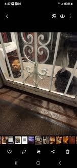 Is there any gyms in Franklin park that are privetly owned in a warehouse  where I can pay monthly For a pass where it's not as busy as these bigger  gyms?