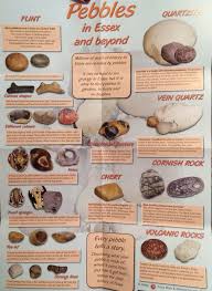 image result for rock id chart flint rock stuffed