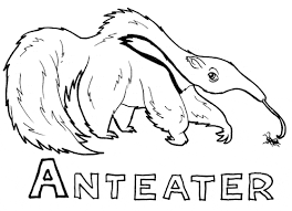 This is so effective, an anteater can eat 30,000 ants a day! Anteater Coloring Free Animal Coloring Pages Sheets Anteater