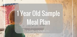 1 Year Old Sample Meal Plan Lovely You Blog