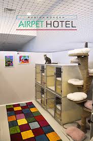 Airpet Hotel Kopek Oteli Kedi Oteli Pet Taksi Pet Kuafor