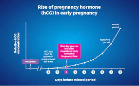When Can I Take A Pregnancy Test Calculate When To Test Clearblue