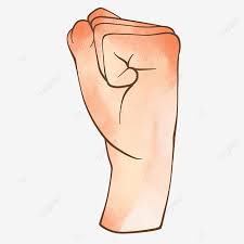 Perspective reference tutorial anatomy hands pose fisthands. Left Hand With Clenched Fist Gesture Fist Left Hand Gesture Png Transparent Clipart Image And Psd File For Free Download