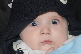 Dundalk's biggest and best Frostival yet captured in pictures