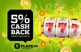Why Paybets