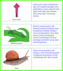 Kunci jawaban buku tematik tema 6 kelas 5 sd halaman 69 70 71 72 73 74 75 76 77 subtema 2 materi soal perpindahan kalor di sekitar kita. Kunci Jawaban Buku Siswa Kelas 6 Tema 2 Halaman 66 67 68 70 71 72 73 Sanjayaops