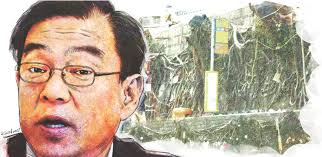 Book review: Thomas Pakenham's lyrical chronicle of a year spent planting  and pursuing trees is a delight