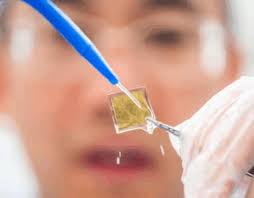 Automating Hydrogen Production: An Interview with Festo's Thomas Bertsch