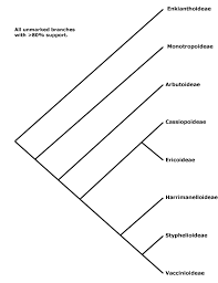 Image result for Balthasaria