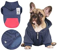 The muzzle is broad and deep the french bulldog originated in 19th century nottingham, england, where lace makers decided to make a smaller, miniature, lap version of the. Ichoue Pets Dog Clothes Hoodie Hooded French Bulldog Frenchie Shiba Inu Pullover Sweatshirt Cotton Winter Warm C French Bulldog Clothes Dog Clothes Pet Clothes