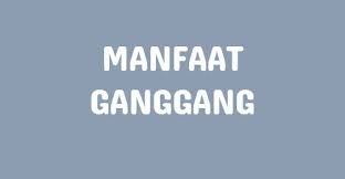 Ganggang Di 2020 Alginat Blog Ekosistem