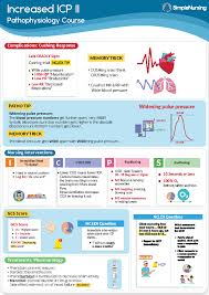 Image result for Cushing Response
