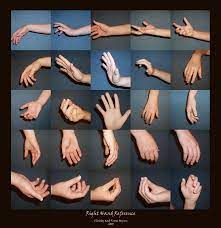 Right Hand Reference Hand Reference Hand Pose Anatomy Reference
