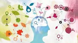 El cerebro y la memoria: entienda cómo piensa el cerebro ...