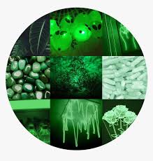 You can use green aesthetic computer wallpapers for your mac desktop background, windows screensavers, iphone wallpapers, tablet or android lock screen and another smartphone device for free. Green Aesthetic Background Circle Hd Png Download Transparent Png Image Pngitem