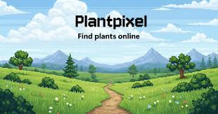 Image result for Xysmalobium alatum