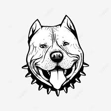 Đây là hai trại chó pitbull đầu tiên tại nước ta và có công. Hinh áº£nh Váº½ Tay Nghá»‡ Thuáº­t Ä'áº§u Pitbull Pitbull Biá»ƒu TÆ°á»£ng Ä'áº§u Bulldog Miá»…n Phi Táº£i Táº­p Tin Png Psdcomment Va Vector