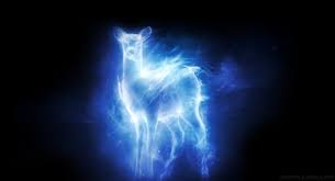 Ron's patronus is a jack russell terrier (jkr, dh32). The Then Here Now And Shape Of Things To Come Louis Carlo Lim