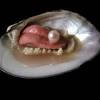 Abalone shell has meaning and properties on enhancing love energy. 3