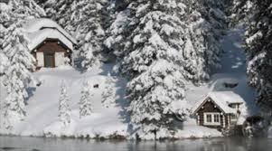 Pinecone playhouse at mack's inn resort yakınındaki oteller. Johnny Sack Cabin Clio