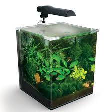 Fluval Ebi Nano Shrimp Aquarium Kit Full Aquarium Set Up Petsolutions Aquarium Set Shrimp Tank Aquarium