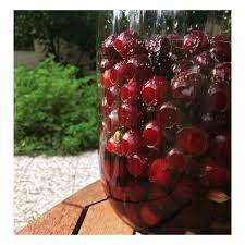 pin on homemade drinks