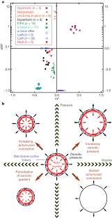 Fungal cells and some protist cells also have cell walls. Animal Cells Control Shape In Mitosis By Modulating Intracellular Download Scientific Diagram