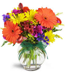 Hours may change under current circumstances Florist S Choice Daily Deal East Peoria Il Florist