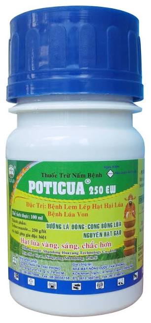 Poticua 250EW