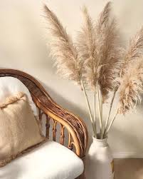 Herbe De La Pampa Decor Salon Maison Deco Salon Deco