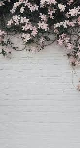 Check spelling or type a new query. Pin On Wallpaper Bunga