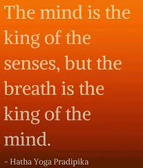 Hatha Yoga Pradipika Yoga Motivation Hatha Yoga Hatha Yoga Poses