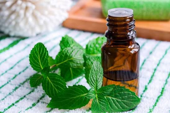 Pepper Mint Huile