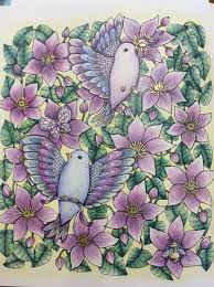 twilight garden maria trolle coloring books gardens coloring book colouring printables