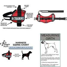 Service Dog Harness Vest Cool Comfort Nylon For Dogs Small