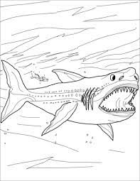 Right now, we have elmo coloring pages and another category for other sesame street characters elmo sesame. Megalodon Shark Coloring Page Shark Coloring Pages Megalodon Shark Megalodon