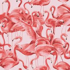 A roll top bath and a large shower was installed four years ago along withtongue and groove panelling on the bottom half of the wall, which is painted in farrow & ball's 'pigeon'. Flamingo Wallpapers 4k Hd Flamingo Backgrounds On Wallpaperbat
