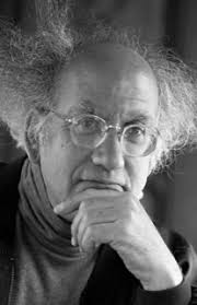 David Kleinberg-Levin