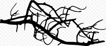 Una sagoma di zucca grande e una piccola. Ramo Di Un Albero Silhouette Ramoscello Disegno Line Art Foglia Bianco E Nero Libro Da Colorare Pianta Png Klipartz