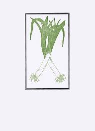 35+ lister over kolam renang untun? Pin By Patricia Gannon On Veg Vegetable Prints Leeks Prints