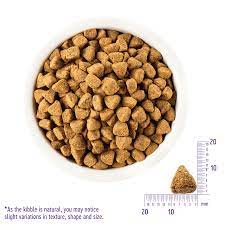 Simple Limited Ingredient Duck Oatmeal Recipe Wellness Pet Food